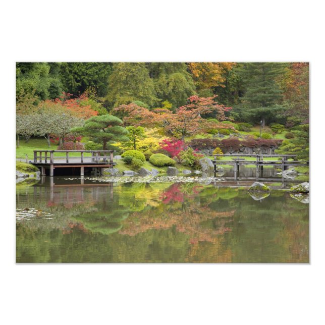 WA, Seattle, Washington Park Arboretum, 3 Fototryck (Framsidan)