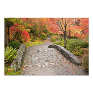 WA, Seattle, Washington Park Arboretum, Fototryck