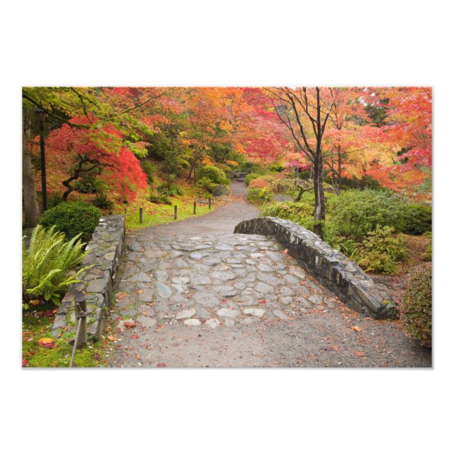 WA, Seattle, Washington Park Arboretum, Fototryck (Framsidan)