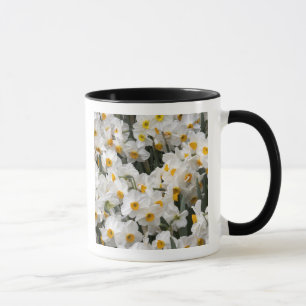 WA, Skagit Valley, påskliljemönster Mugg
