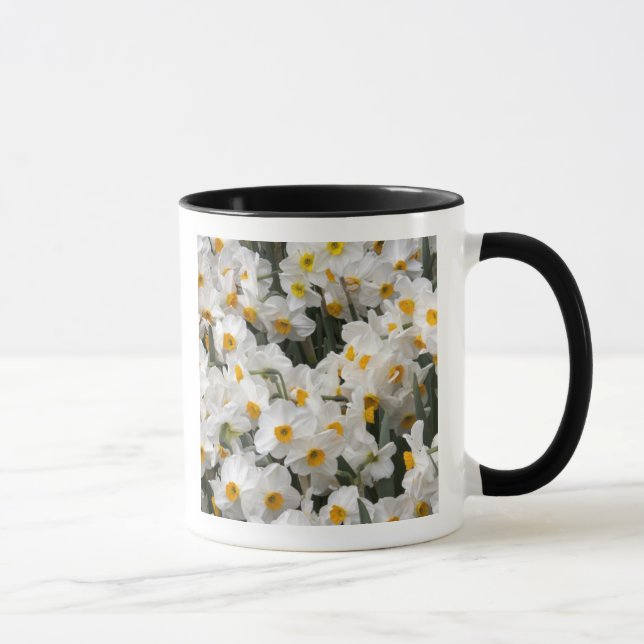 WA, Skagit Valley, påskliljemönster Mugg (Höger)