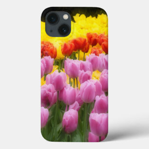 WA, Skagit Valley, Roozengaarde Tulip Garden, 2