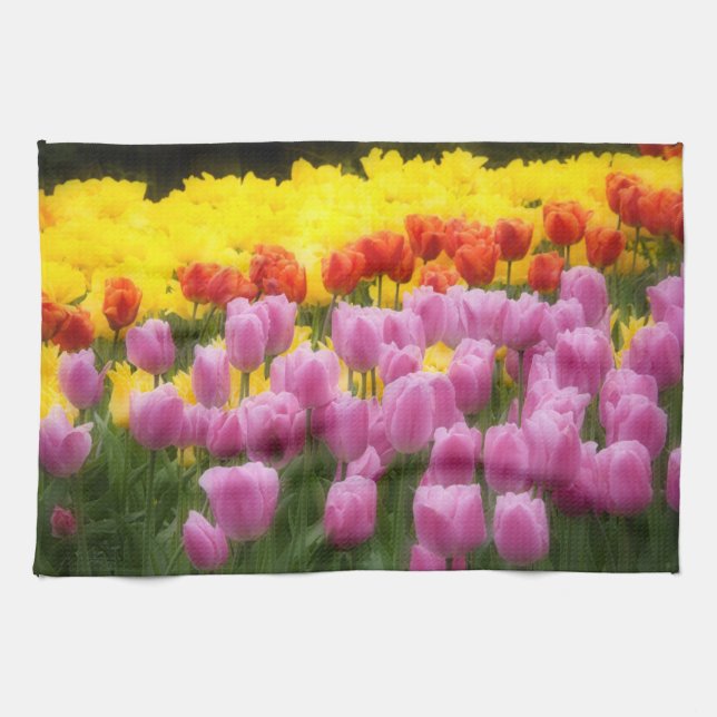 WA, Skagit Valley, Roozengaarde Tulip Garden, 2 Kökshandduk (Horisontell)
