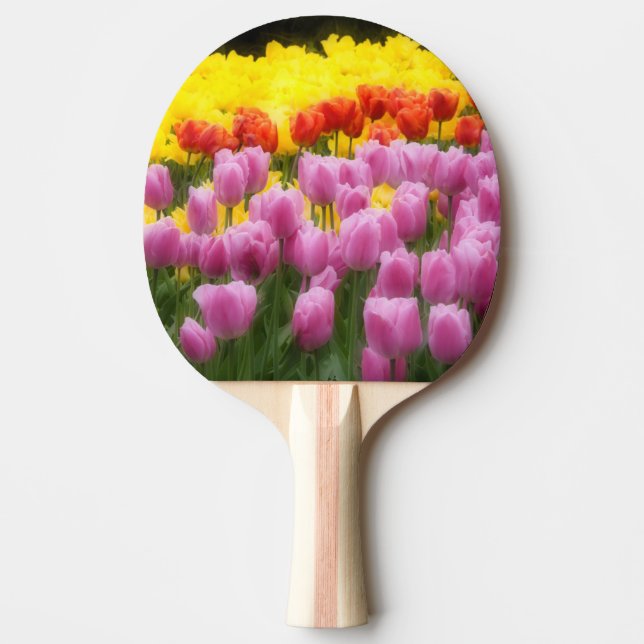WA, Skagit Valley, Roozengaarde Tulip Garden, 2 Pingisracket (Framsidan)