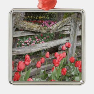 WA, Skagit Valley, Roozengaarde Tulip Garden, Julgransprydnad Metall