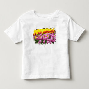 WA, Skagit Valley, Roozengaarde Tulpanträdgård, 2 Tee Shirt