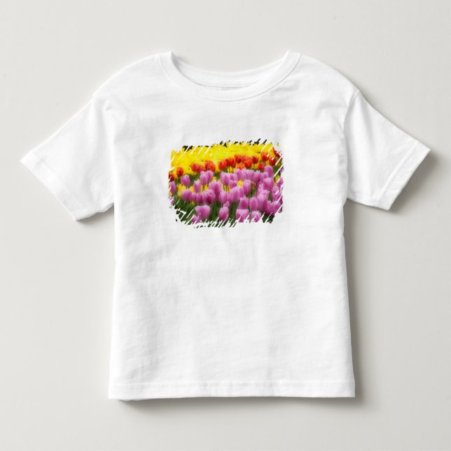 WA, Skagit Valley, Roozengaarde Tulpanträdgård, 2 Tee Shirt (Framsida)