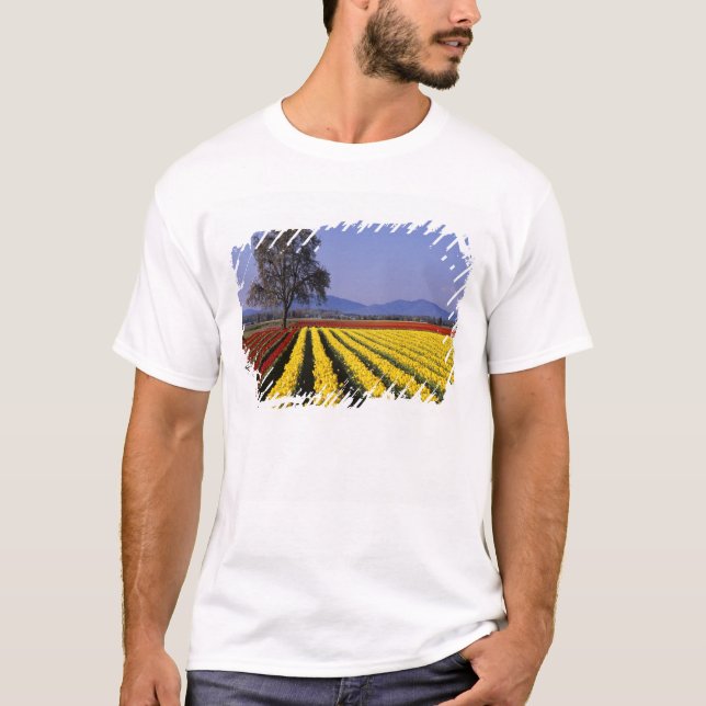 WA, Skagit Valley, Skagit Valley Tulip 2 T Shirt (Framsida)