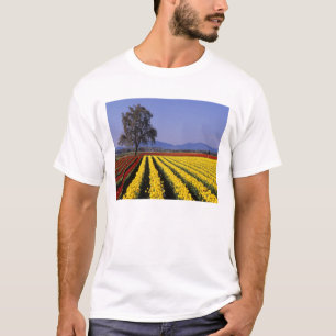 WA, Skagit Valley, Skagit Valley Tulpan 2 T-shirt