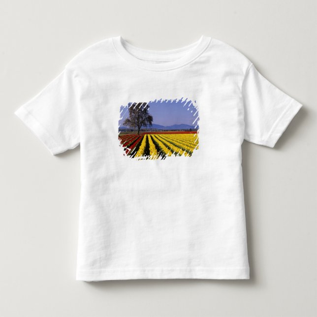 WA, Skagit Valley, Skagit Valley Tulpan 2 Tee (Framsida)