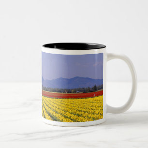 WA, Skagit Valley, Skagit Valley Tulpan 2 Två-Tonad Mugg
