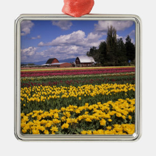 WA, Skagit Valley, Skagit Valley Tulpan Julgransprydnad Metall