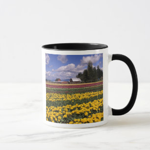 WA, Skagit Valley, Skagit Valley Tulpan Mugg