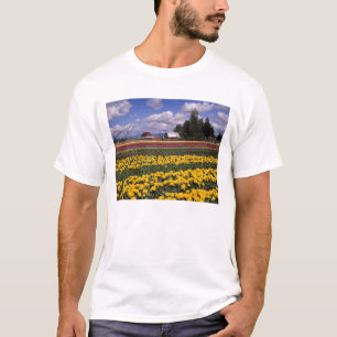 WA, Skagit Valley, Skagit Valley Tulpan T-shirt