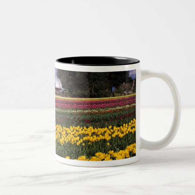 WA, Skagit Valley, Skagit Valley Tulpan Två-Tonad Mugg (Höger)