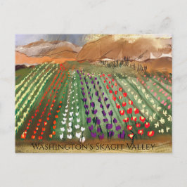 WA Skagit Valley Tulip Fält Vår Dreaming Vykort