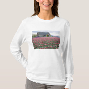 WA, Skagit Valley, Tulpanfält och lada Tee