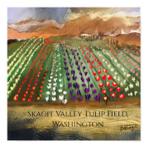 WA Skagit Valley Tulpanfält Vår Drömmeri