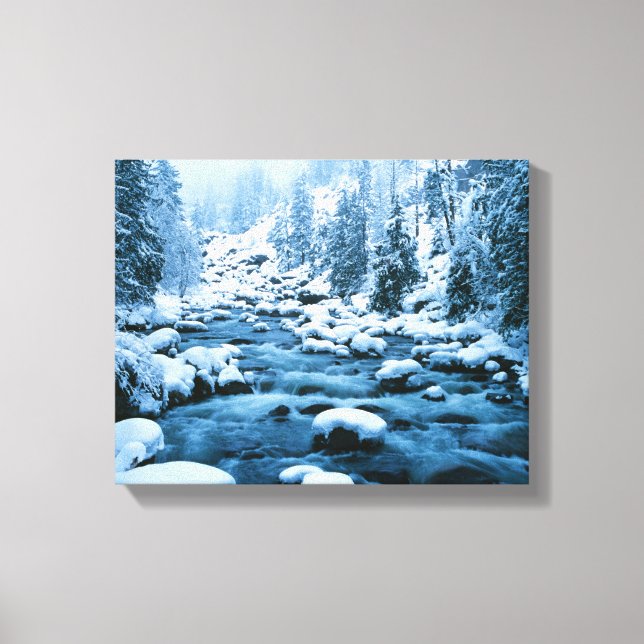 WA, Wenatchee National Forest, Cascade Canvastryck (Framsida)