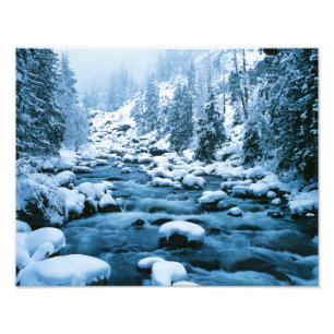 WA, Wenatchee National Forest, Cascade Fototryck