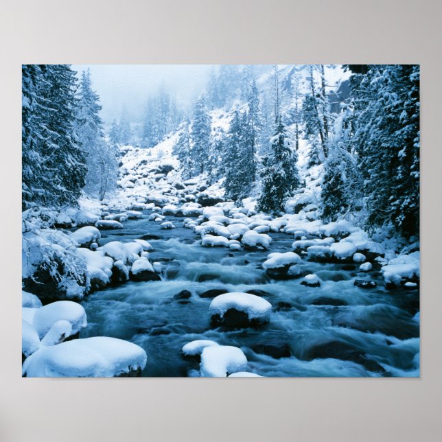 WA, Wenatchee National Forest, Cascade Poster (Framsidan)