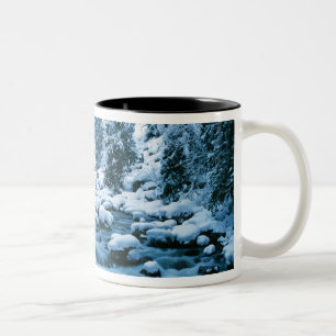 WA, Wenatchee National Forest, Cascade Två-Tonad Mugg