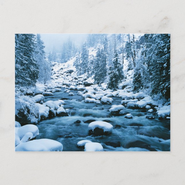 WA, Wenatchee National Forest, Cascade Vykort (Framsida)