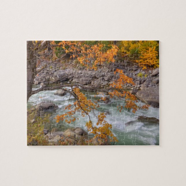WA, Wenatchee National Forest, Lönn och Pussel (Horisontell)