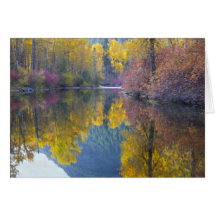 WA, Wenatchee National Forest, Whitepine Creek, Hälsningskort