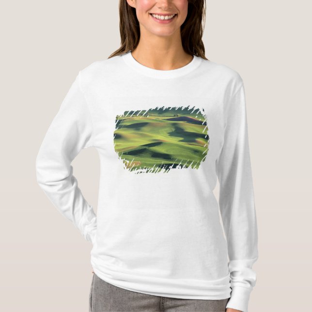 WA, Whitman County, Palouse Farmland, vy T Shirt (Framsida)