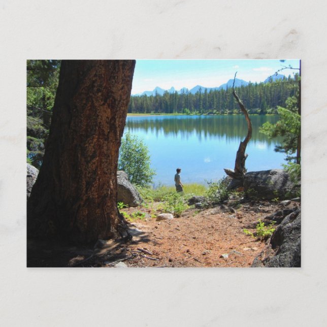 Wabasso Sjö vykort (Framsida)