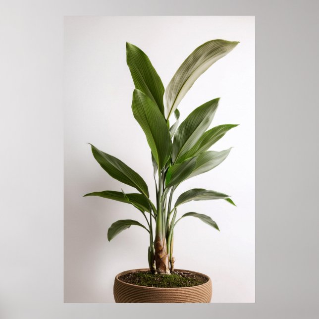 Wabi-Sabi Art Poster (Framsidan)