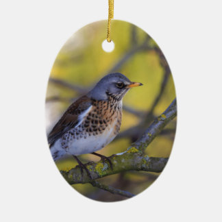 Wacholderdrossel Julgransprydnad Keramik