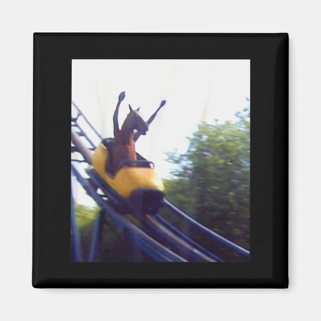 Wacky Horse Riding Roller Coaster Meme Internet Fu Magnet (Framsidan)