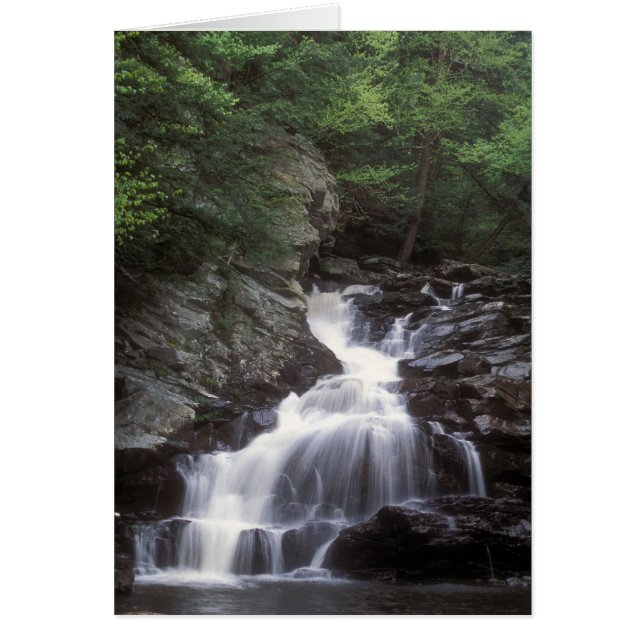 Waconah Falls Berkshires Massachusetts Hälsningskort (Framsidan)