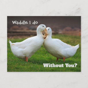 Waddle I Do Funny Ankor Vykort