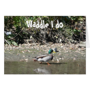Waddle jag gör hälsningskort