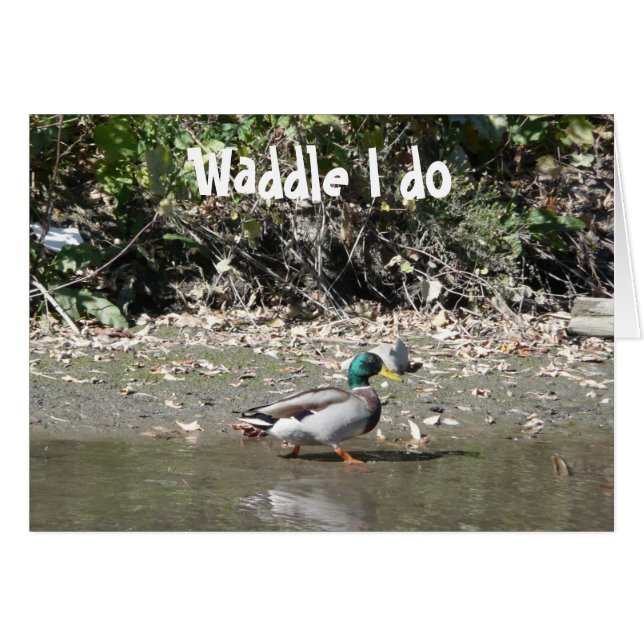 Waddle jag gör hälsningskort (Framsidan Horizontal)