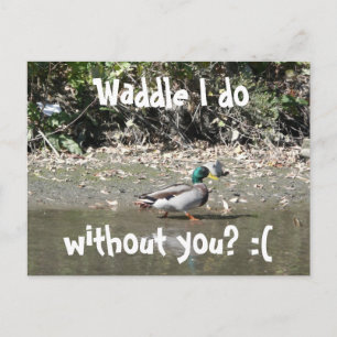 Waddle jag gör, utan dig? : vykort