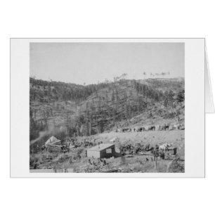 Wade och Jones Railroad Camp in Whitewood Canyon Hälsningskort