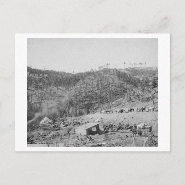 Wade och Jones Railroad Camp in Whitewood Canyon Vykort (Framsida)