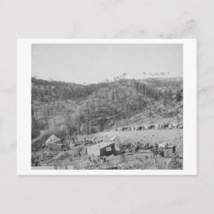 Wade och Jones Railroad Camp in Whitewood Canyon Vykort