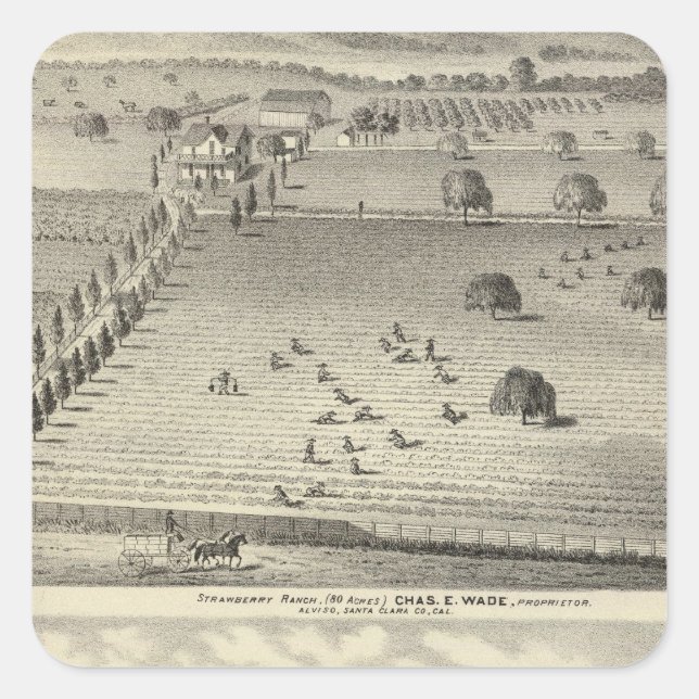 Wade ranch, Weller-hemvist Fyrkantigt Klistermärke (Framsida)