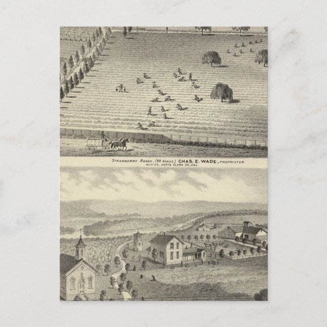 Wade ranch, Weller-hemvist Vykort (Framsida)