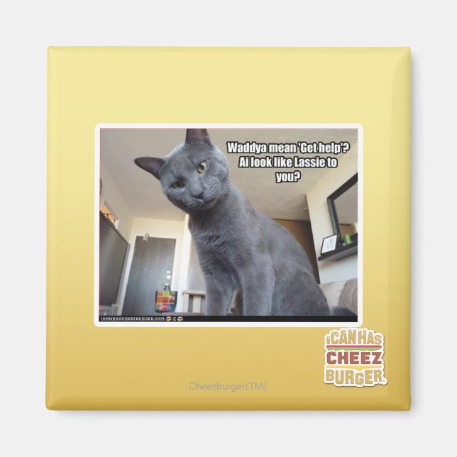 Wadya-elaket "Hämta hjälp"? Magnet (Framsidan)