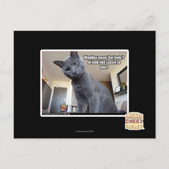 Wadya-elaket "Hämta hjälp"? Vykort (Framsida)