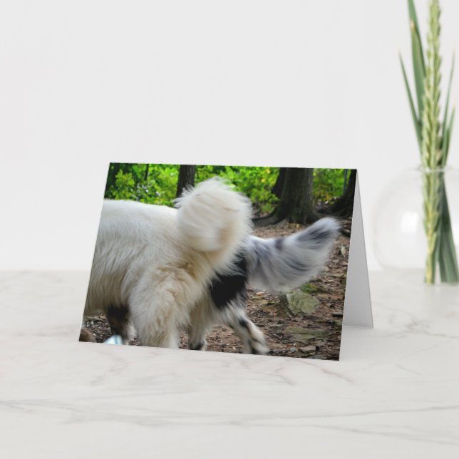 Wagging väg för svan/årsdagkort kort (Framsida)
