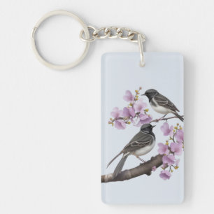 Wagtail Bird