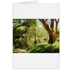Wahiawa Botanical Garden Hälsningskort