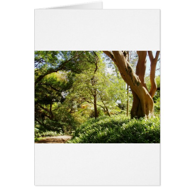 Wahiawa Botanical Garden Hälsningskort (Framsidan)